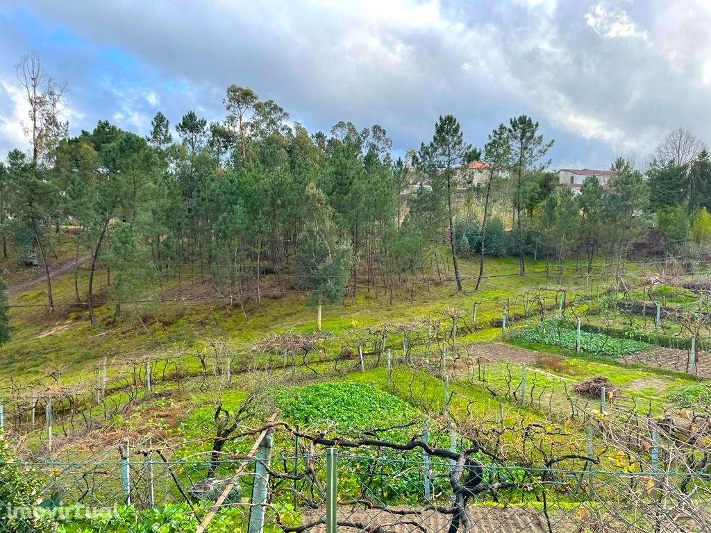 Quinta T6 em Amarante - Grande imagem: 5/25