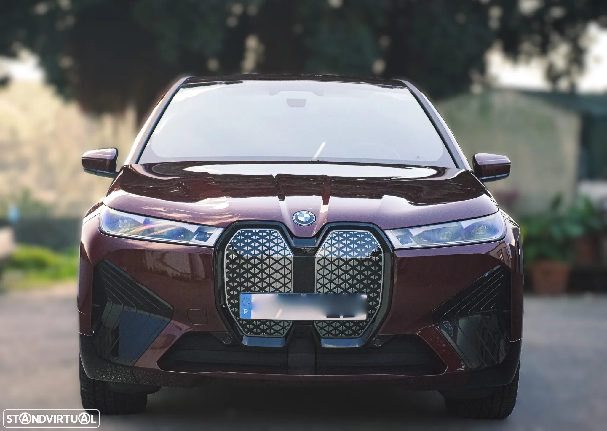BMW iX xDrive 40 - 3