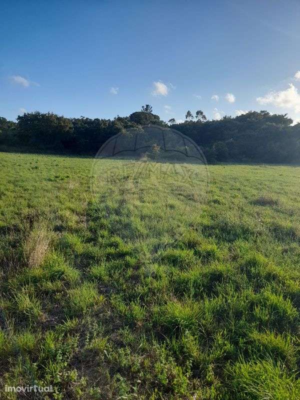 Terreno  para venda - Grande imagem: 3/6