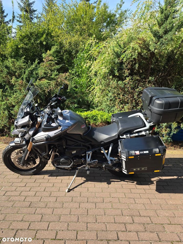 Triumph Tiger - 3