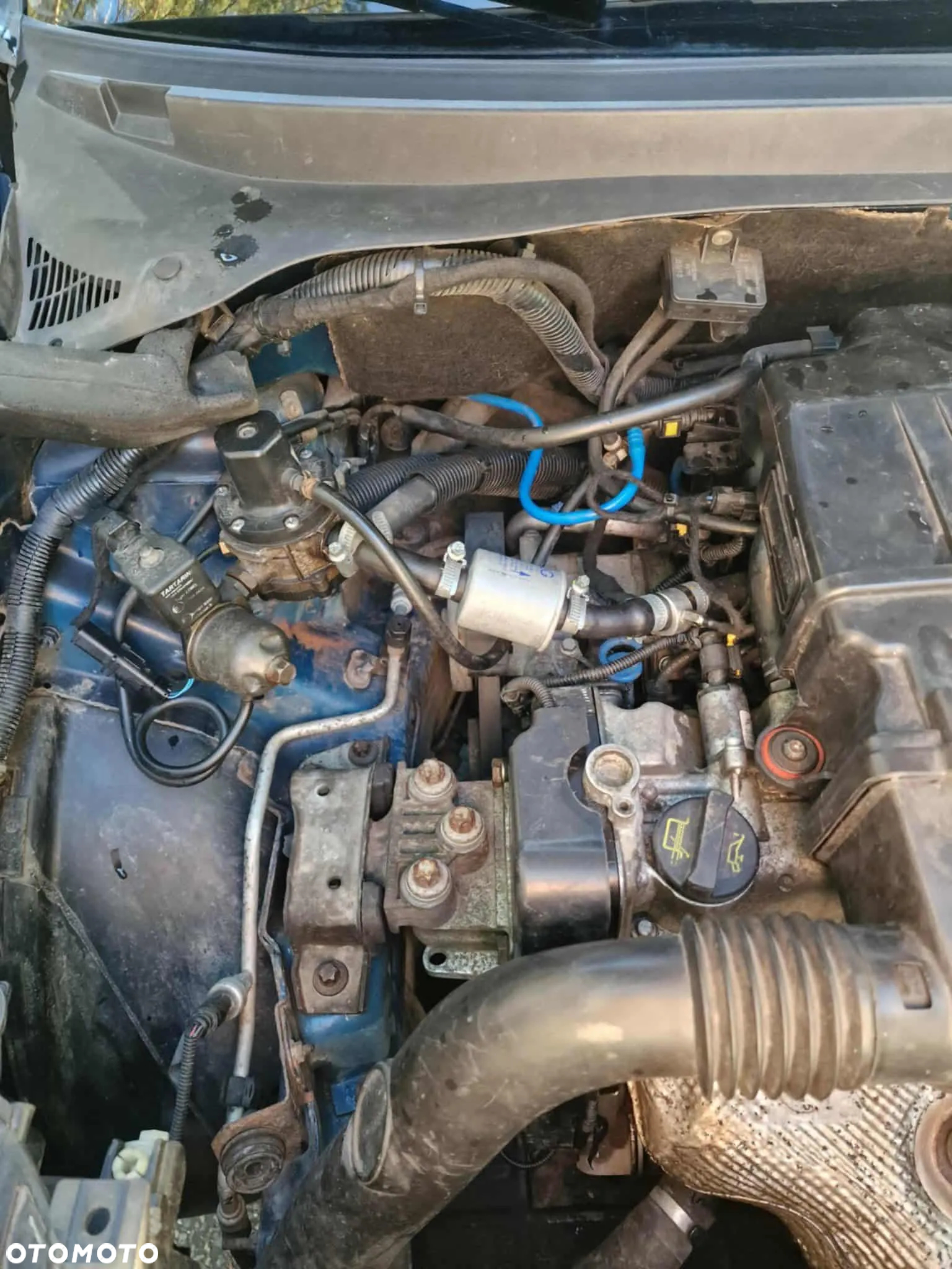 Fiat Punto 1.4 Easy S&S - 14
