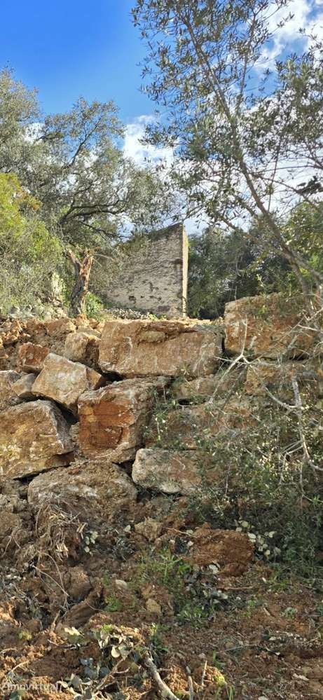 TERRENOS COM RUÍNA EM SANTA BÁRBARA DE NEXE, FARO - Grande imagem: 2/6