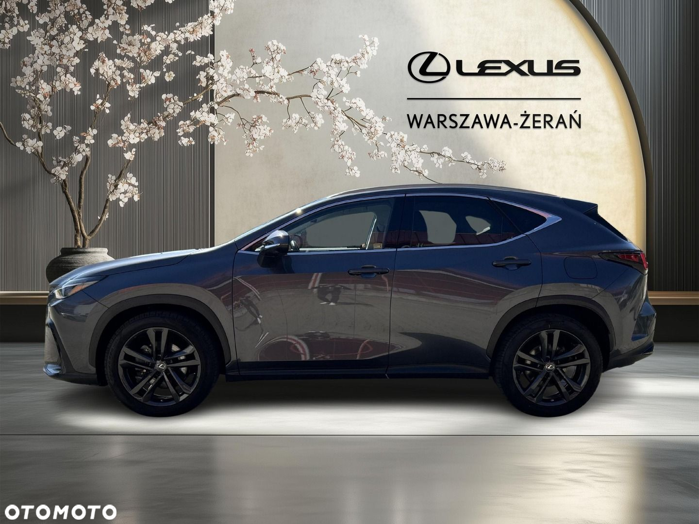 Lexus NX - 3
