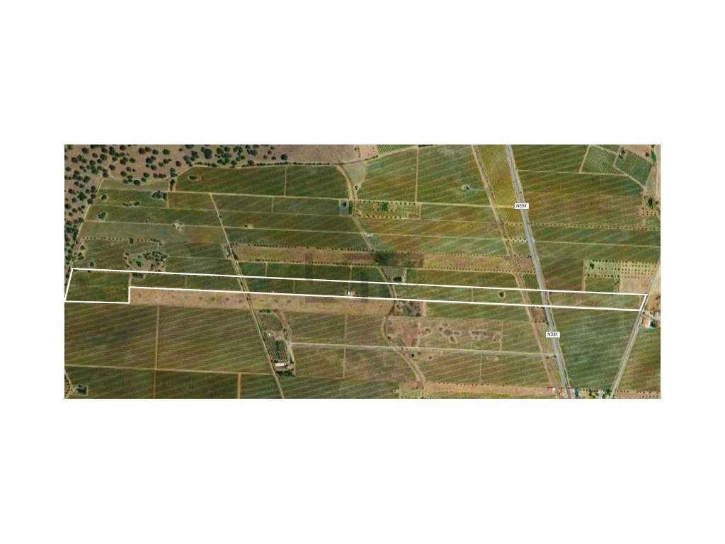 Terreno / Vinha em Reguengos de Monsaraz - 7,35 Hectares - Grande imagem: 2/22