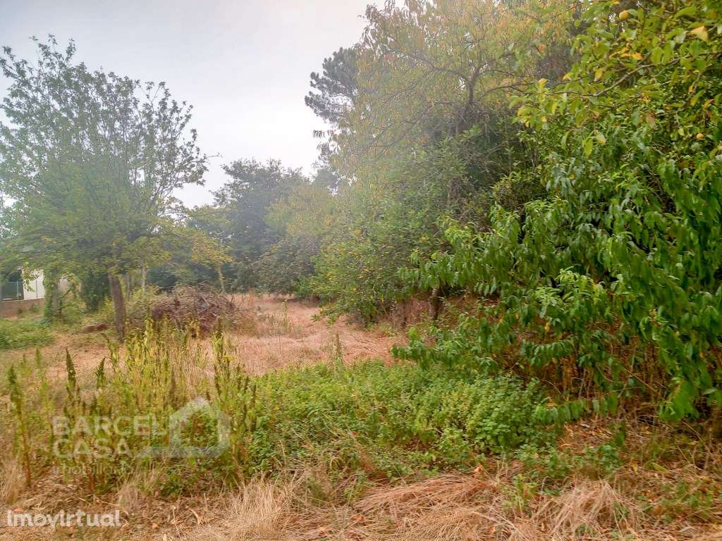 Terreno de construção em Galegos (São Martinho) - Barcelos - Grande imagem: 3/4