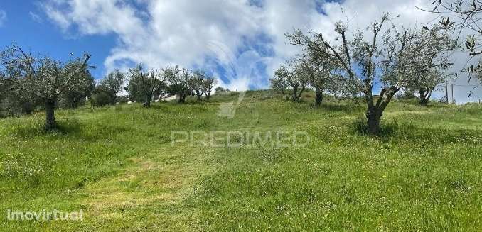 Terreno Rustico para venda - Grande imagem: 2/10