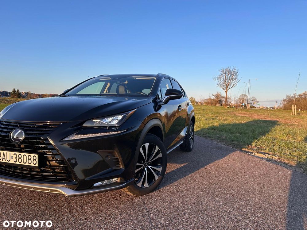 Lexus NX 300h F Impression AWD - 3