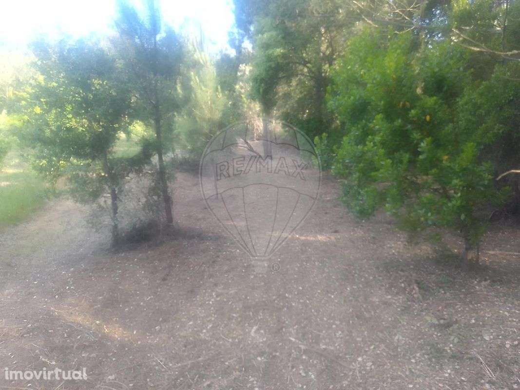 Terreno  para venda - Grande imagem: 5/5