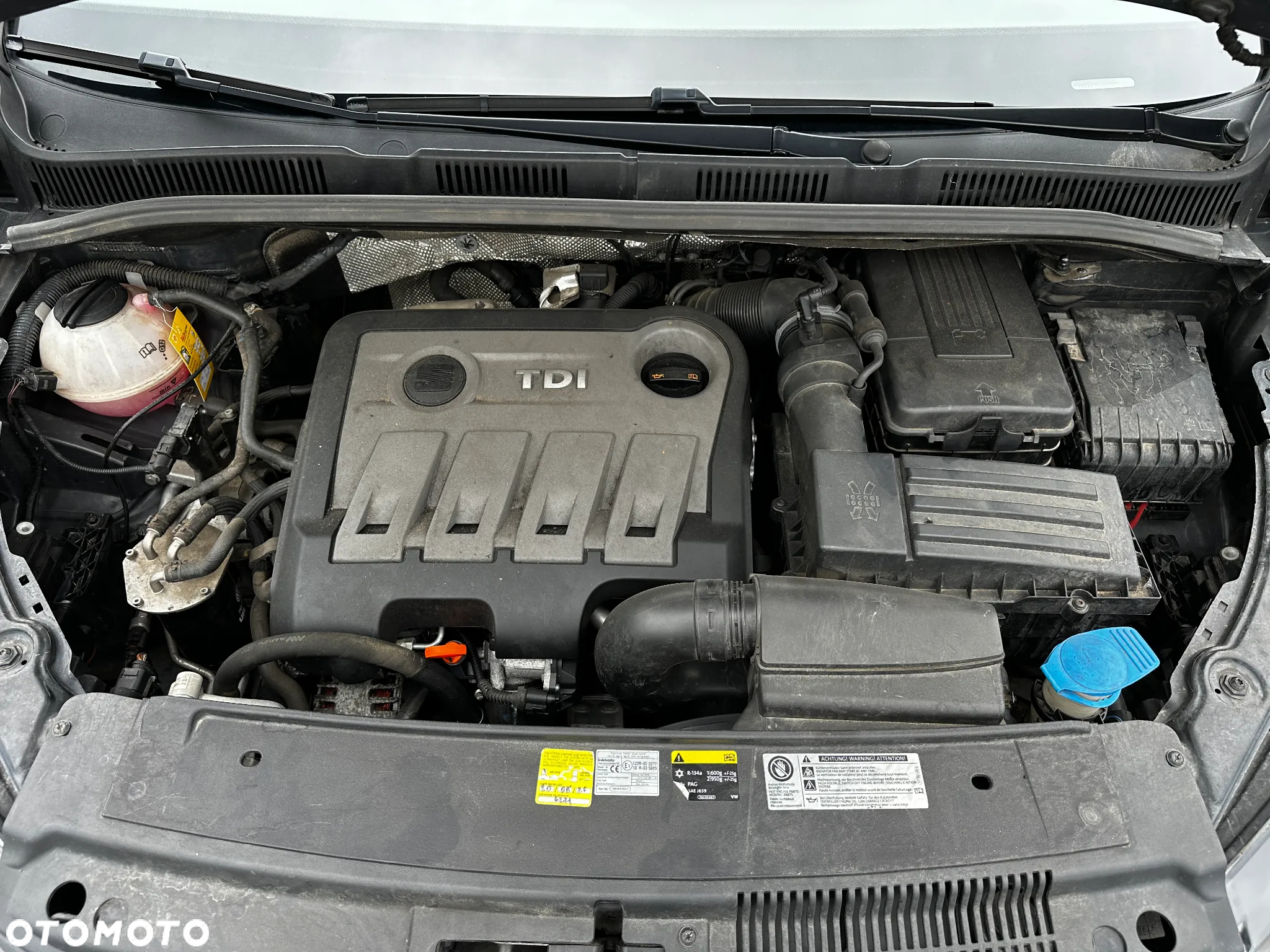 Seat Alhambra - 28