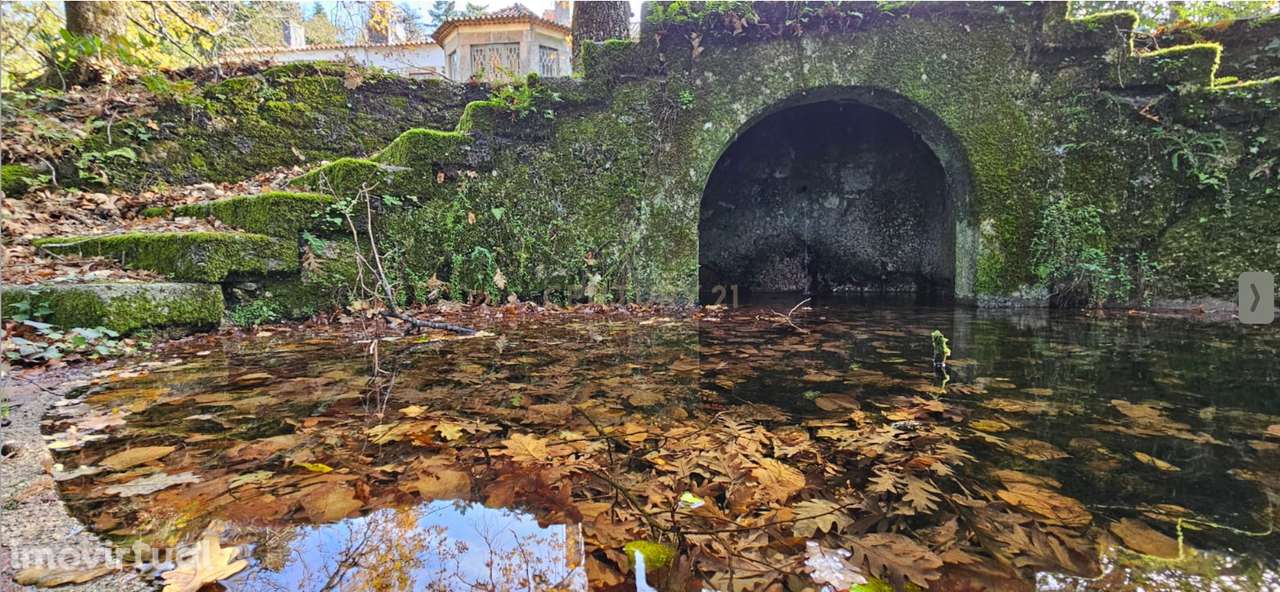 Casa da Cerca - Gouveia - Grande imagem: 3/39