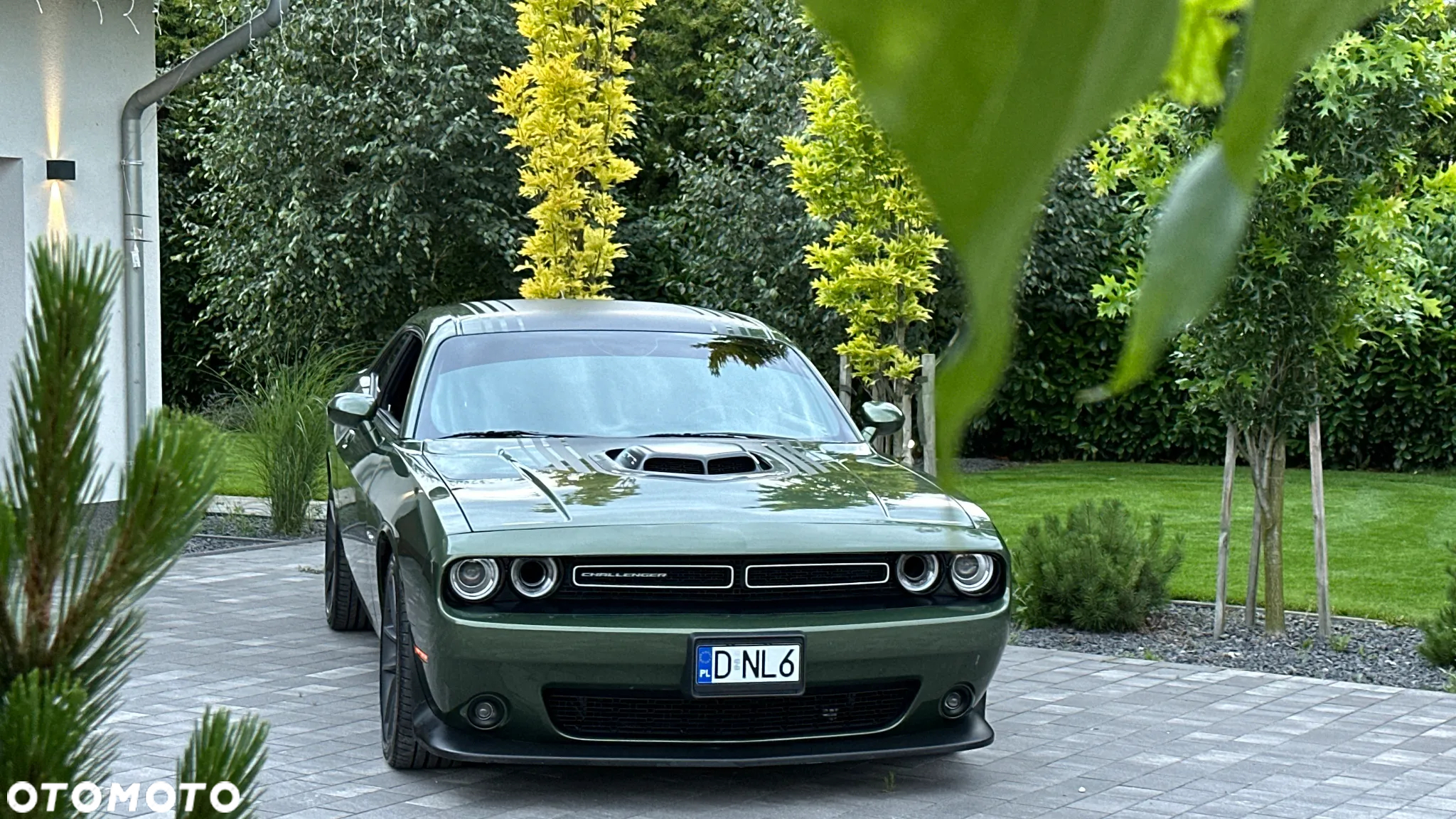 Dodge Challenger Automatik R/T Plus Shaker - 16