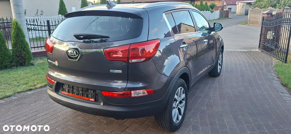 Kia Sportage - 22
