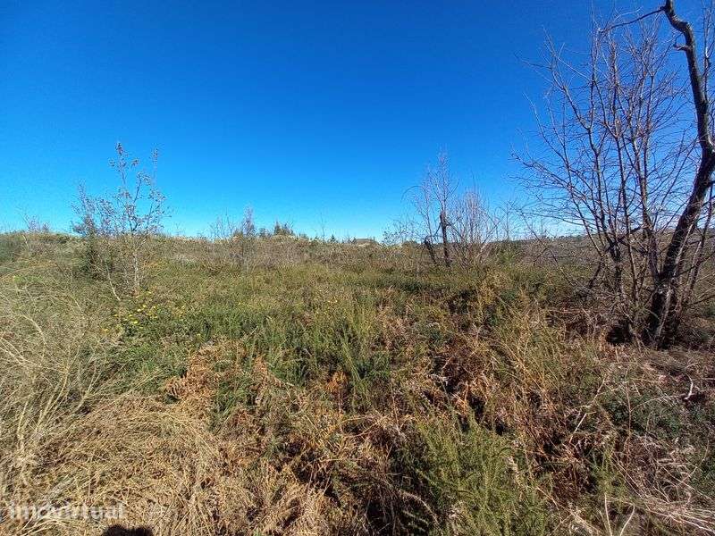 Terreno Rustico - 2.5 hectares - Travanca de Lagos - Grande imagem: 3/10