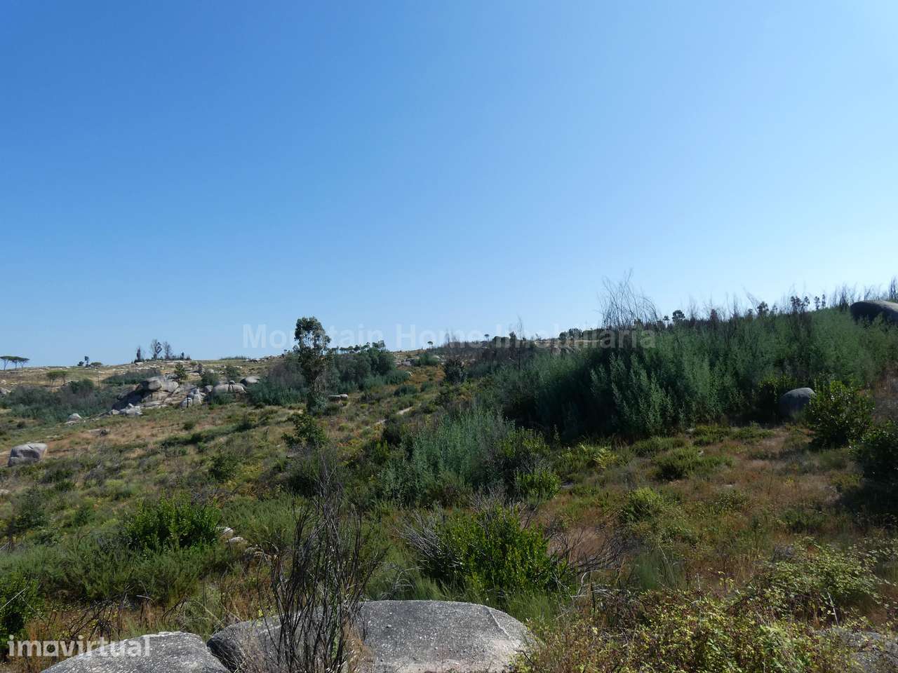 Terreno  Venda em Vila Nova de Tazem,Gouveia - Grande imagem: 2/7