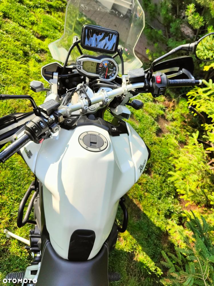 Triumph Tiger - 7