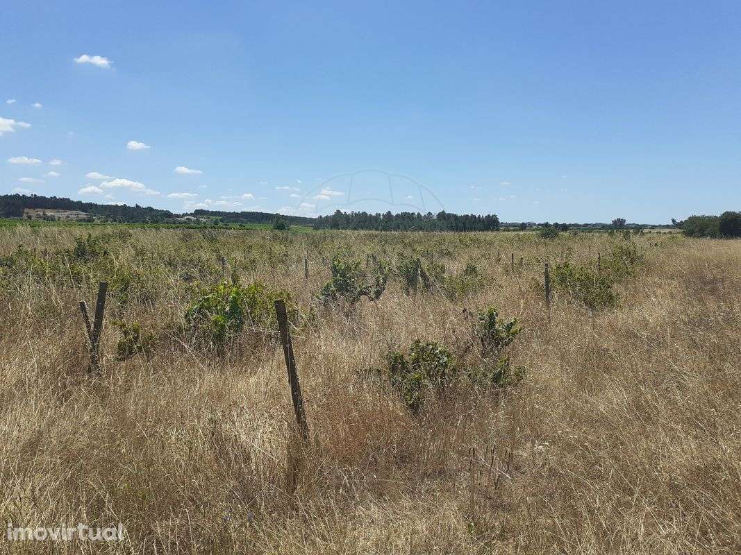 Terreno  para venda - Grande imagem: 4/4