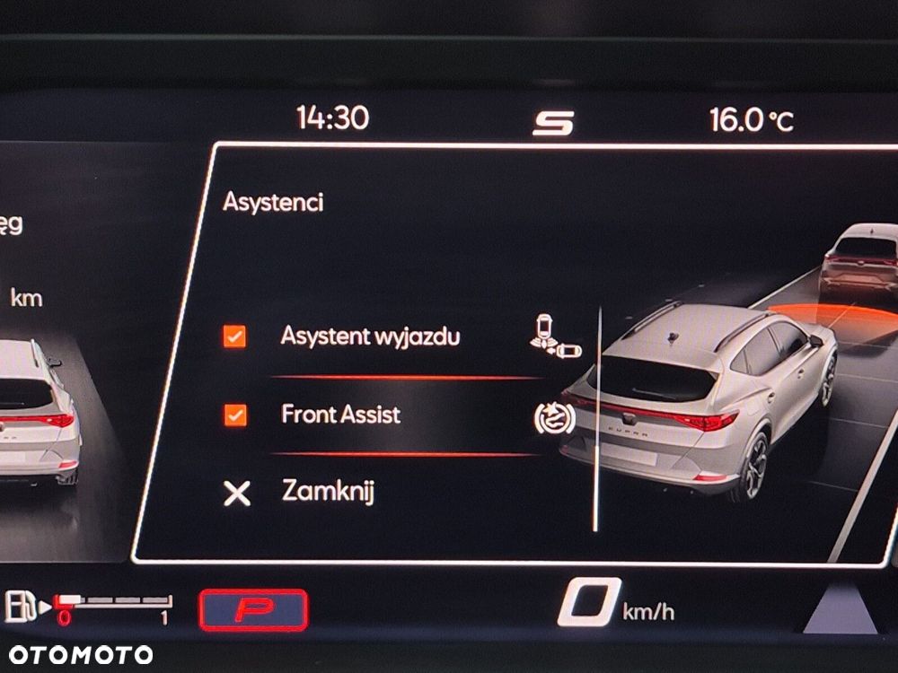Cupra Formentor 2.0 TSI 4Drive DSG - 20