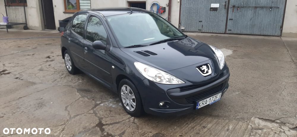 Peugeot 206 plus - 19