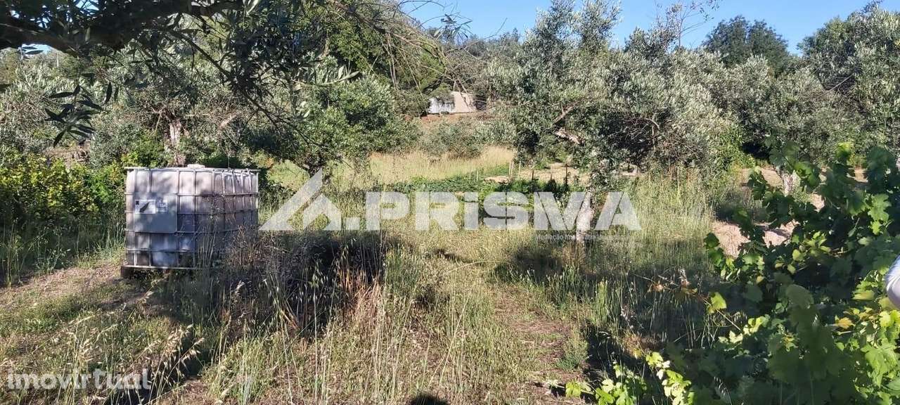 Quintinha  Póvoa Rio de Moinhos - Grande imagem: 5/11