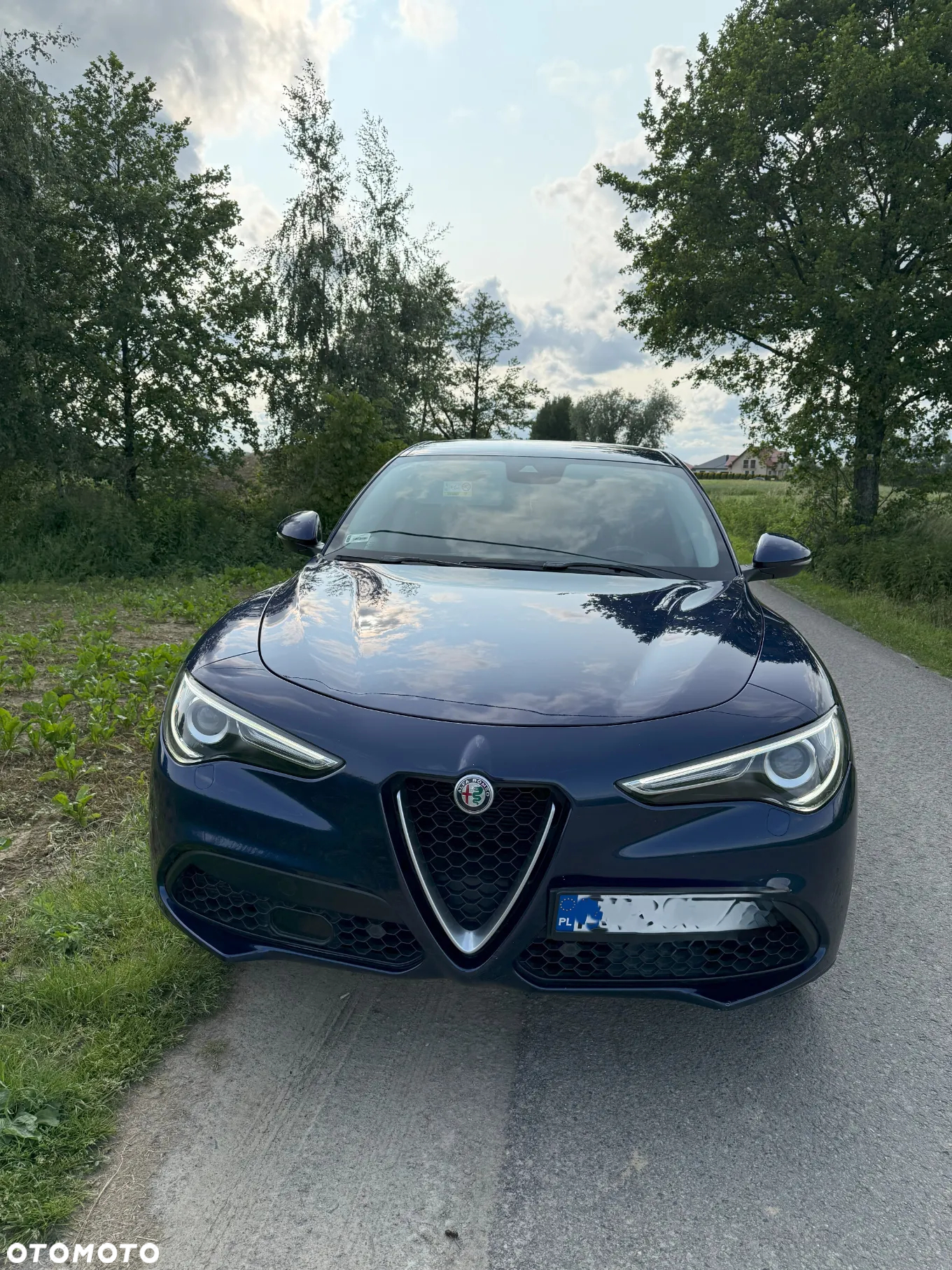 Alfa Romeo Stelvio 2.0 Turbo First Edition Q4 - 16