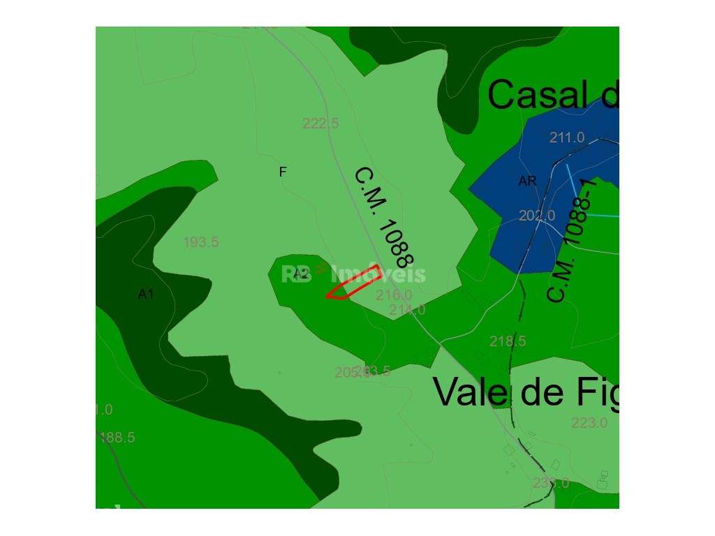 Terreno rústico com Eucaliptal - Agroal, Tomar - Grande imagem: 3/4