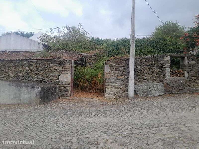 Casa rural no Douro - Grande imagem: 3/3