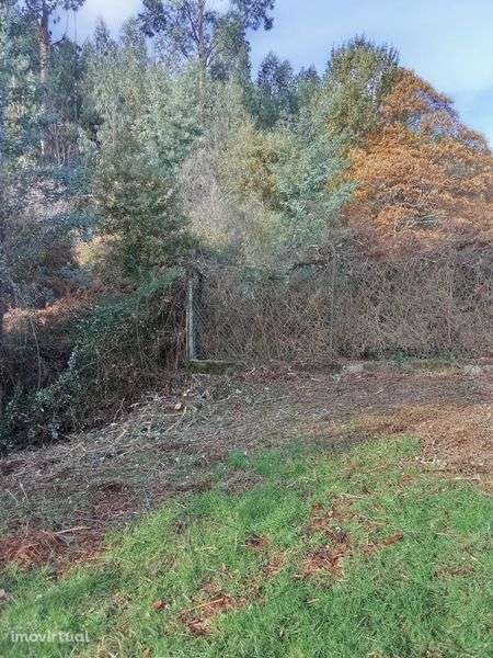 Terreno com 1456 m² no Ameal, Castanheira de Pêra - Grande imagem: 5/6