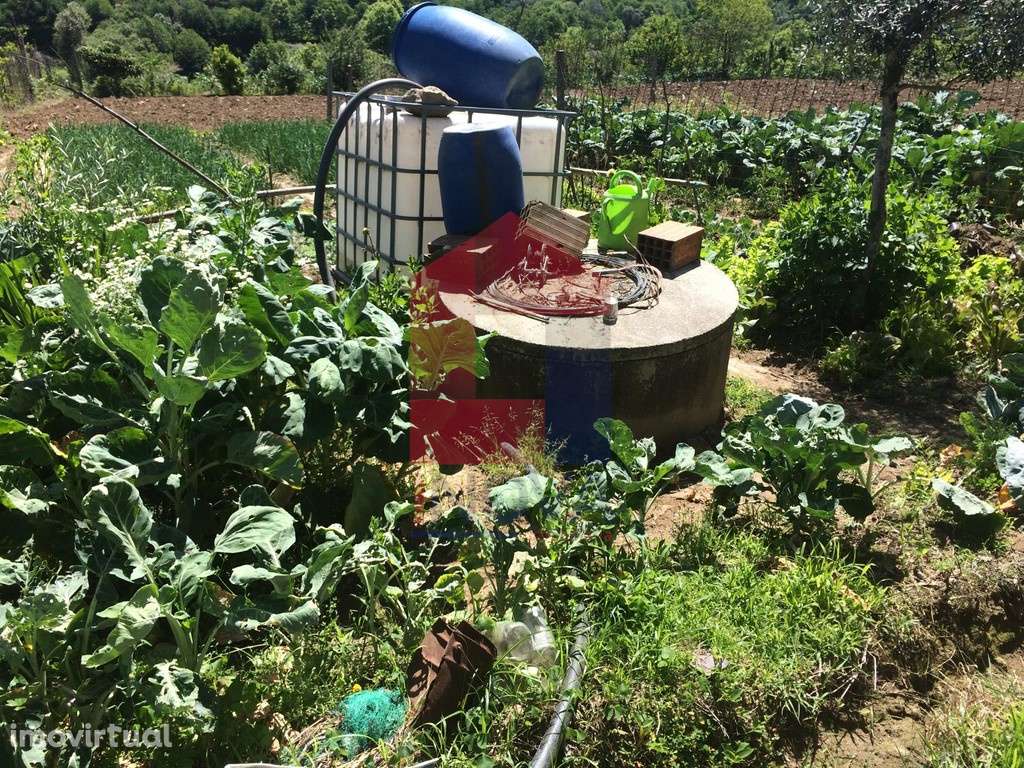 Terreno agrícola em Sande, Vila Verde - Grande imagem: 2/8