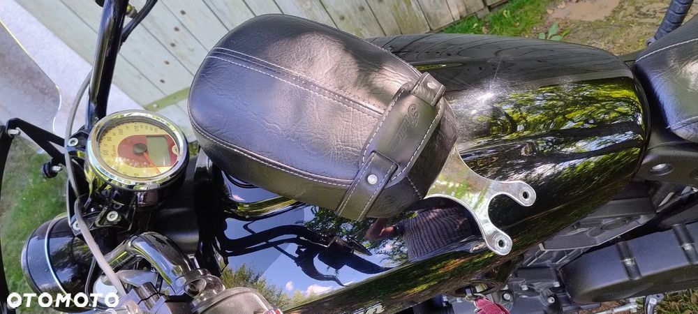 Indian Scout - 14