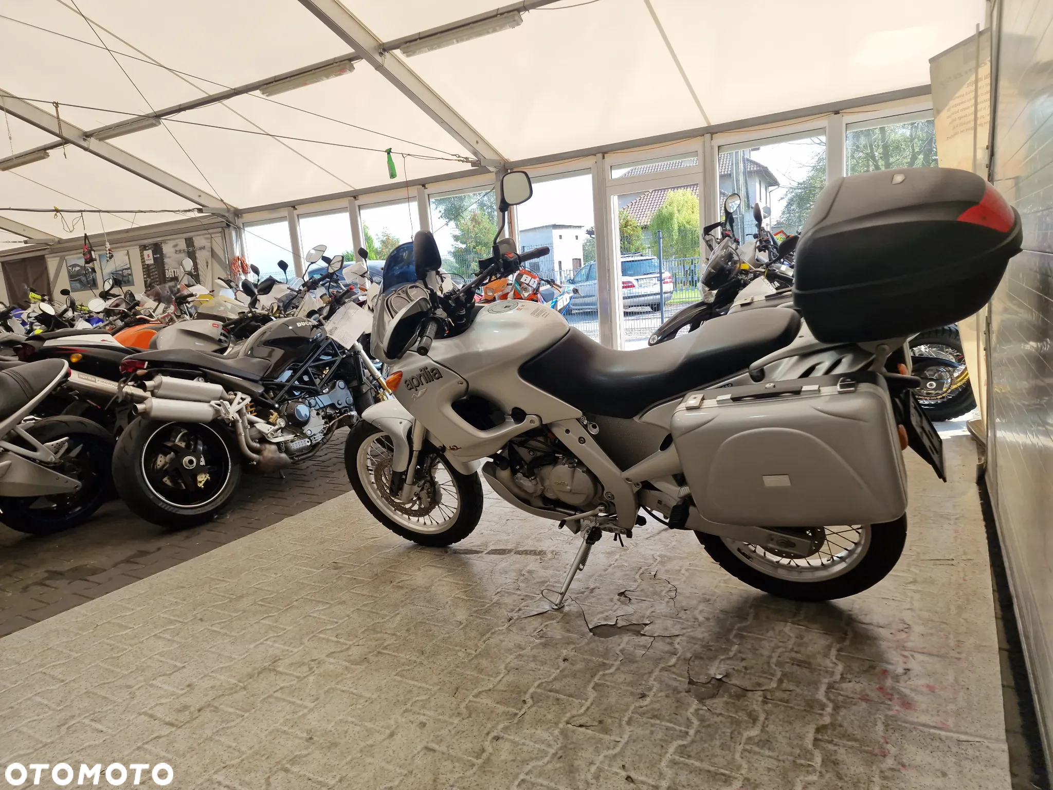 Aprilia Pegaso - 21