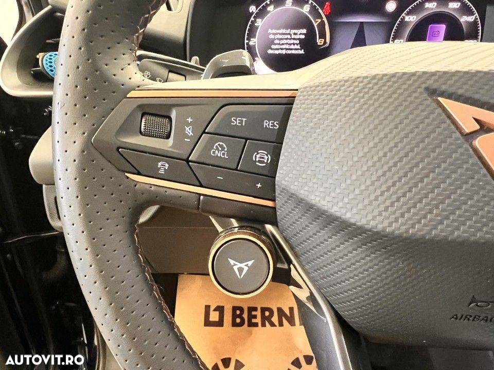 Cupra Terramar - 18