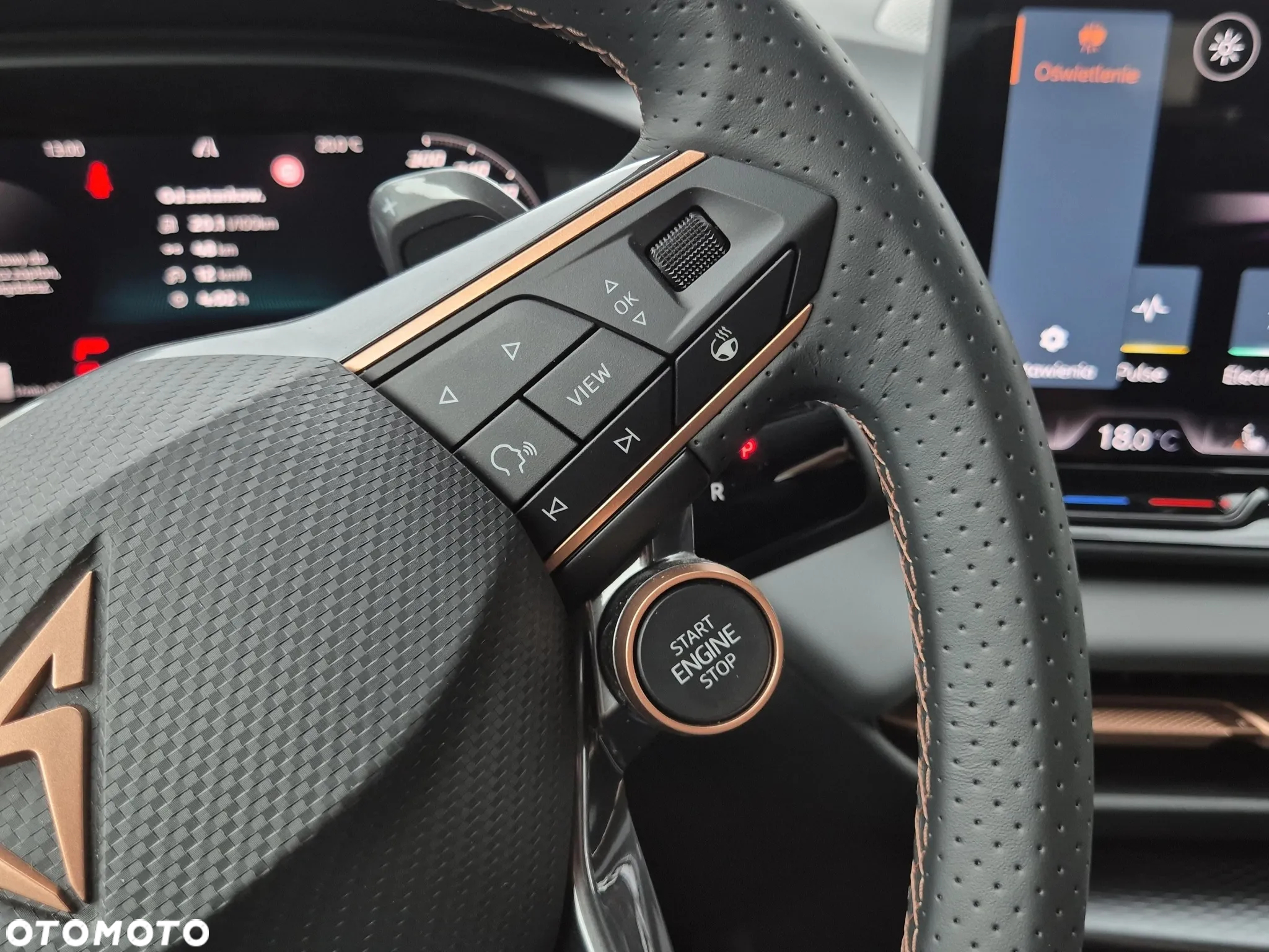 Cupra Terramar 2.0 TSI 4Drive VZ DSG - 17