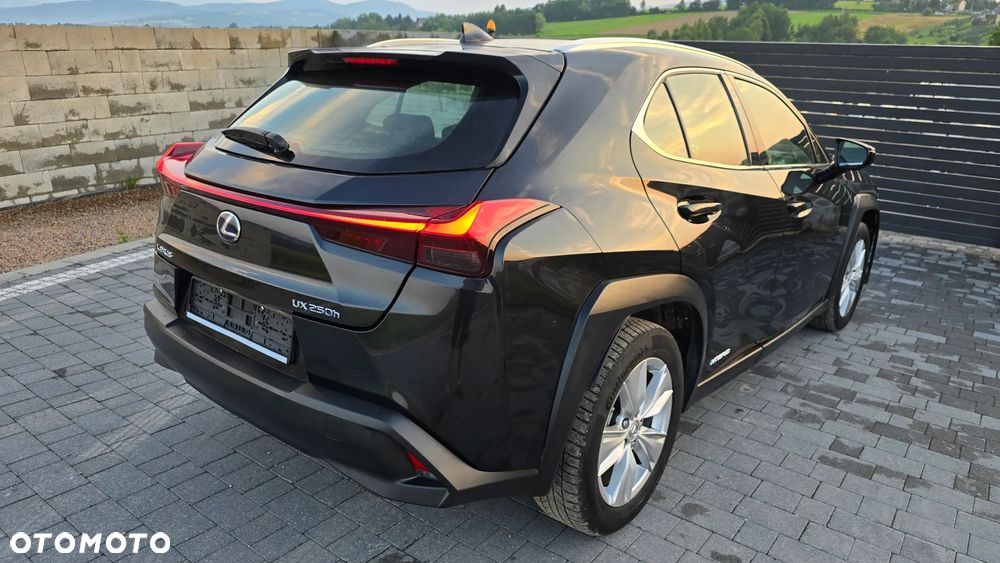 Lexus UX - 6