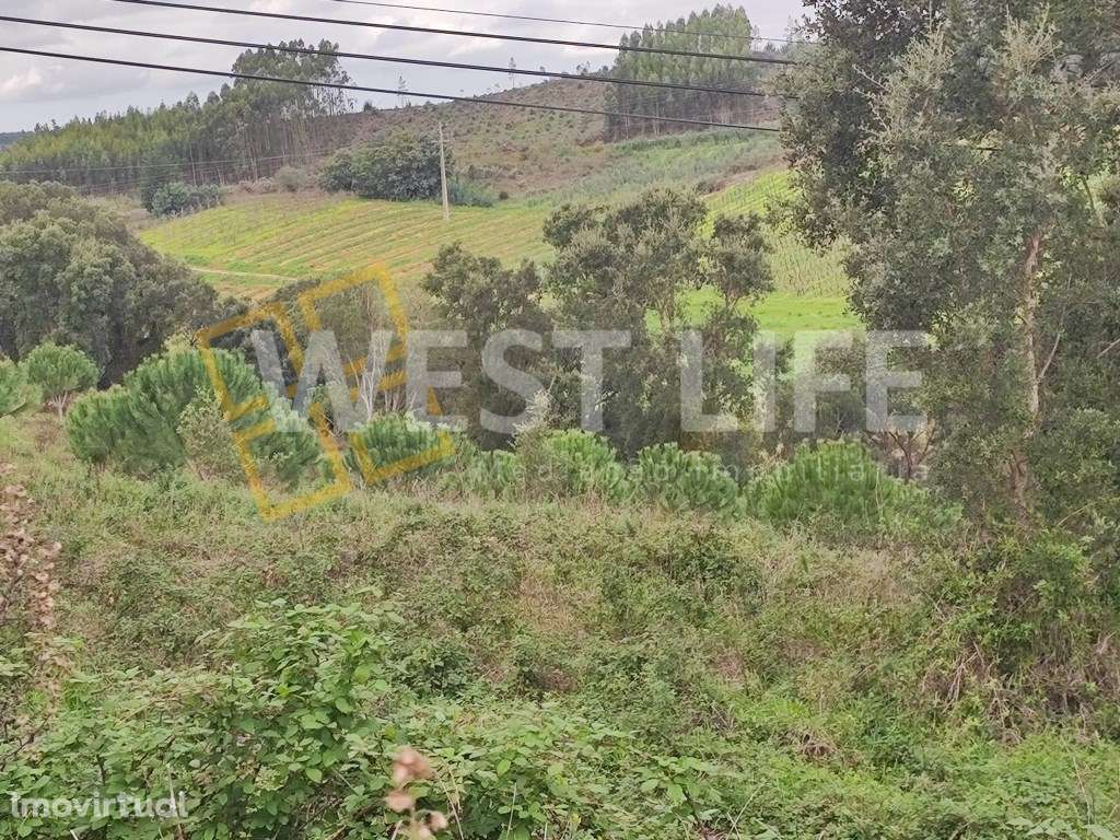 Terreno Urbano com viabilidade de construção, excelente localização... - Grande imagem: 4/11