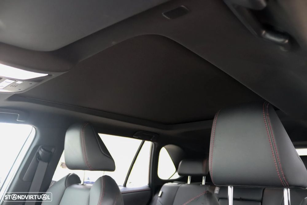 Toyota RAV4 2.5 HDF Plug-in Lounge AWD-i - 24