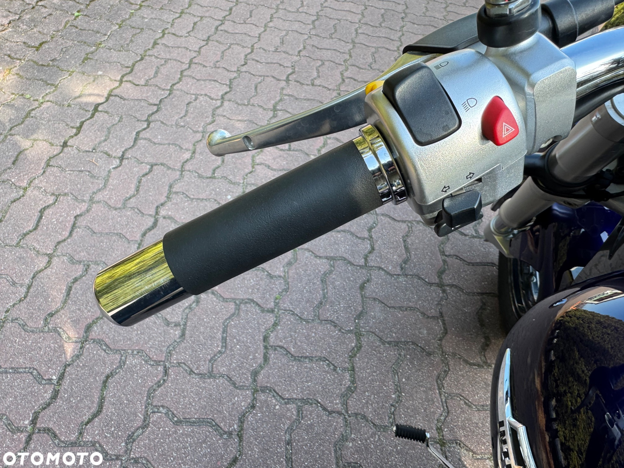 Suzuki Intruder - 18