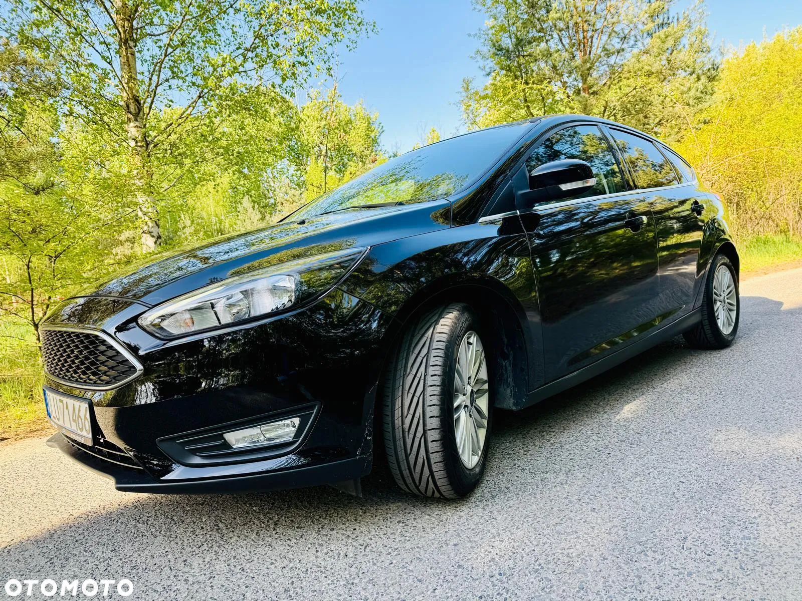 Ford Focus 1.6 SYNC Edition - 1