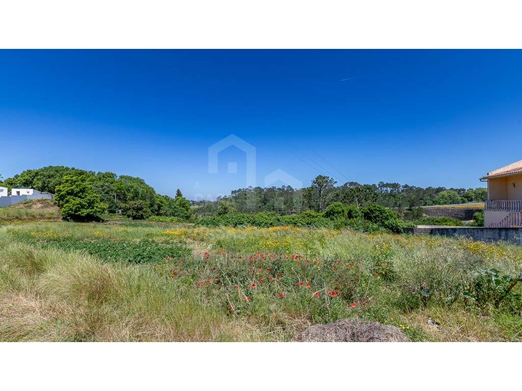 Vende Terreno - Ericeira 15 Km, A Casa das Casas - Grande imagem: 3/14