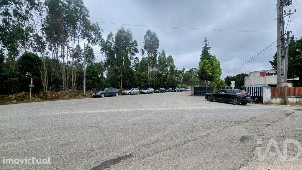 Terreno em Loureiro de 8130,00 m2 - Grande imagem: 3/4