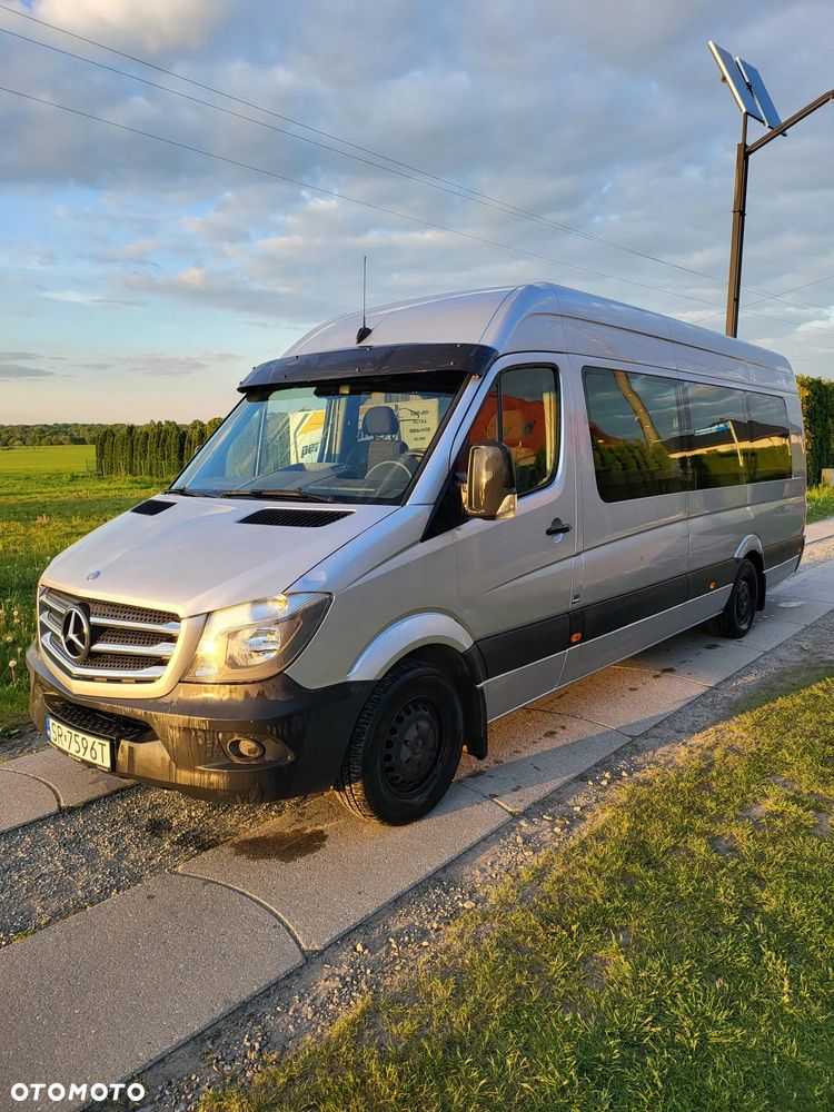 Mercedes-Benz Sprinter 313 max jumbo - 2