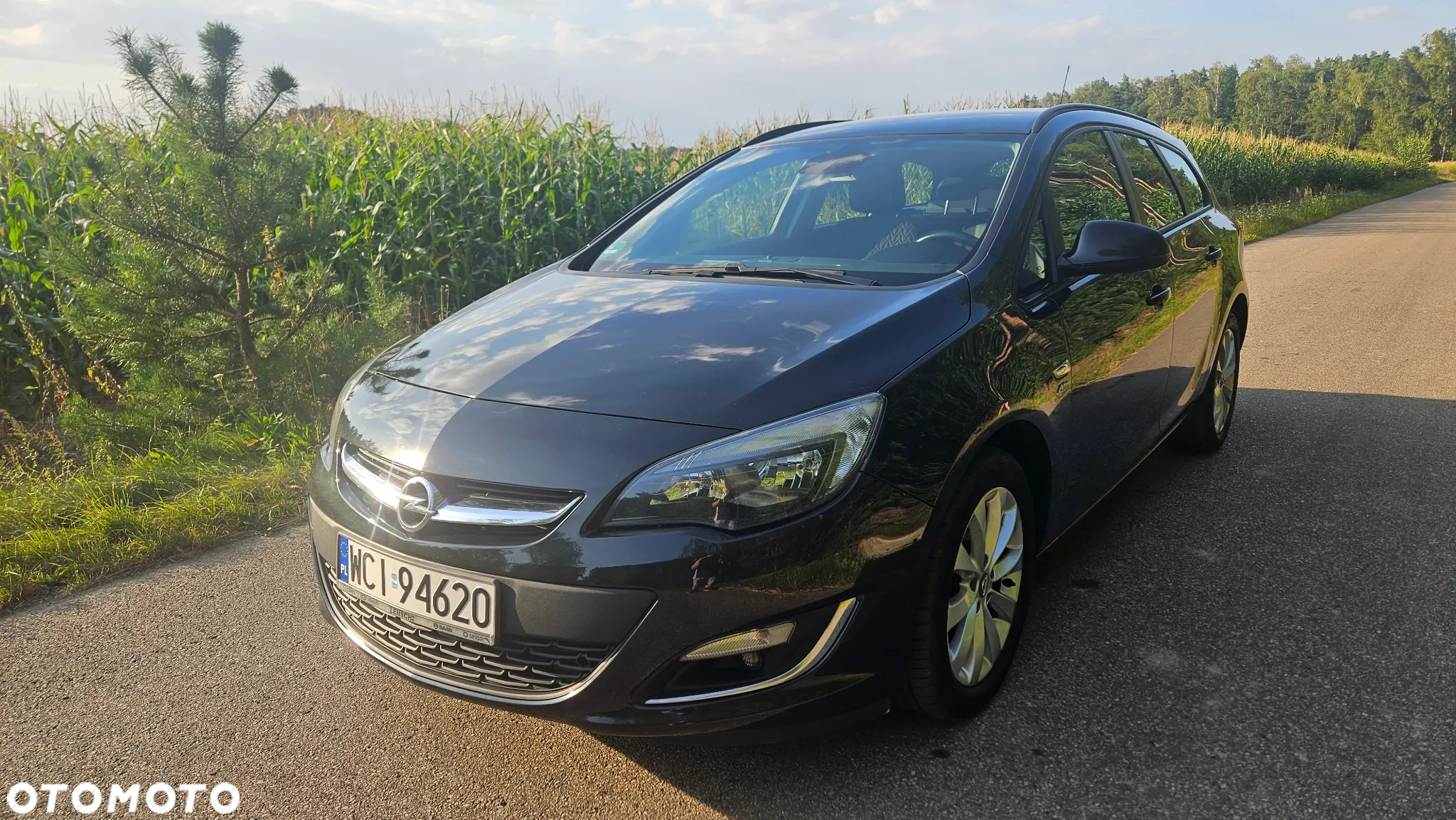 Opel Astra 1.7 CDTI DPF Active - 2