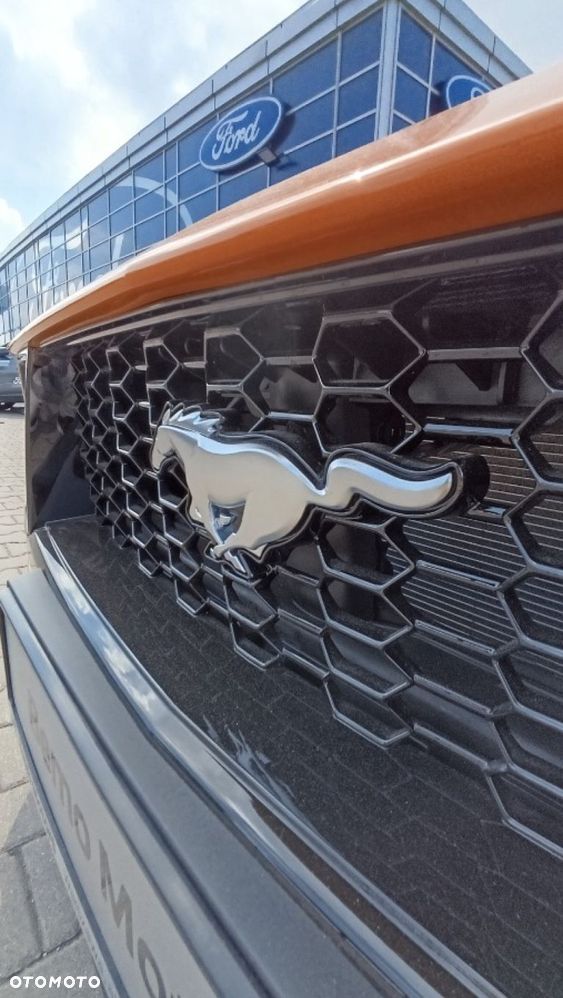 Ford Mustang - 12