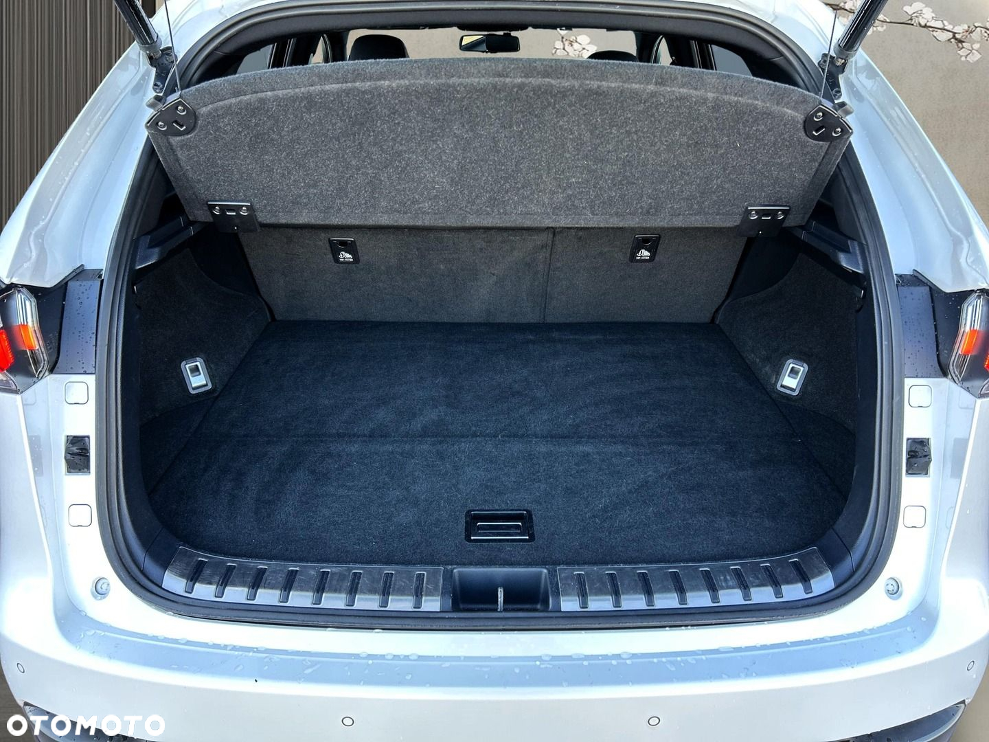 Lexus NX 300h F Sport AWD - 30