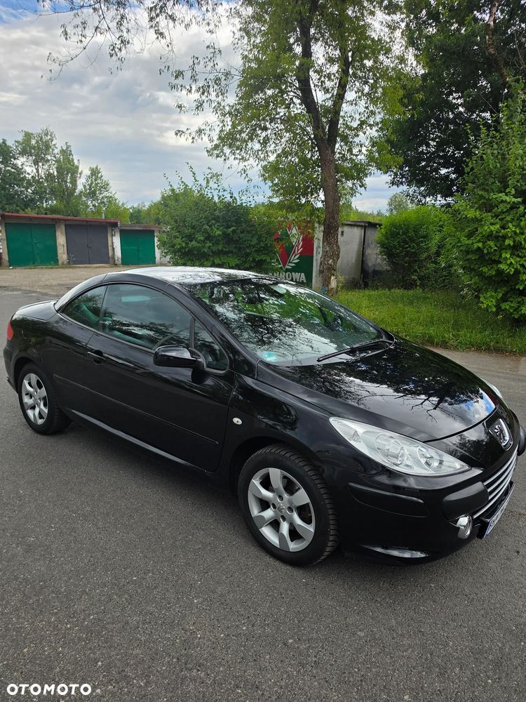 Peugeot 307 CC 140 JBL - 6