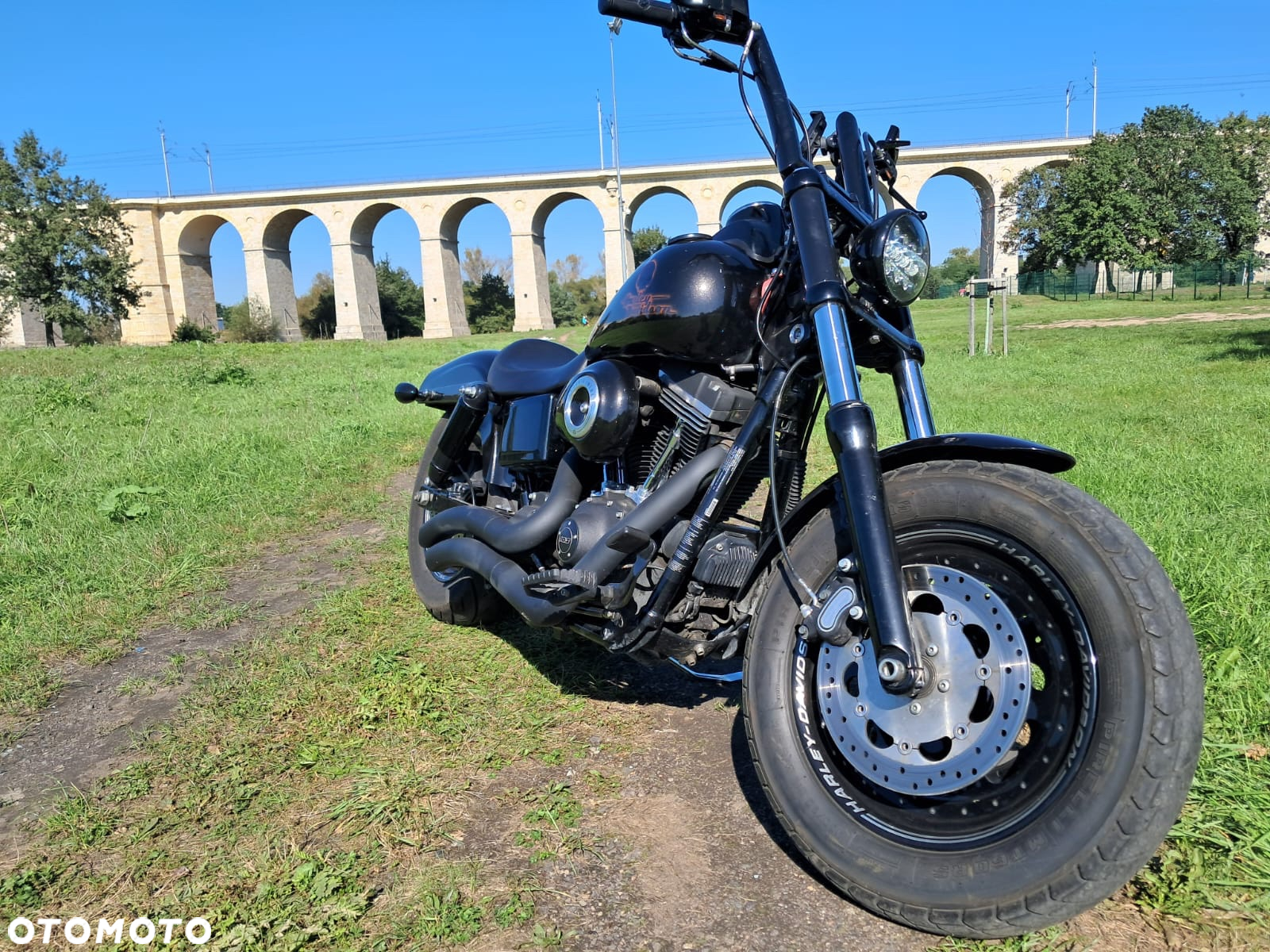 Harley-Davidson Dyna Fat Bob - 4