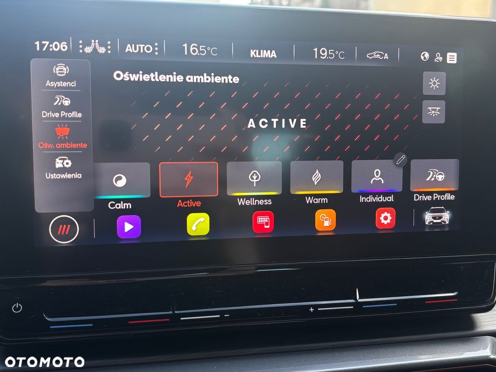 Cupra Formentor - 13