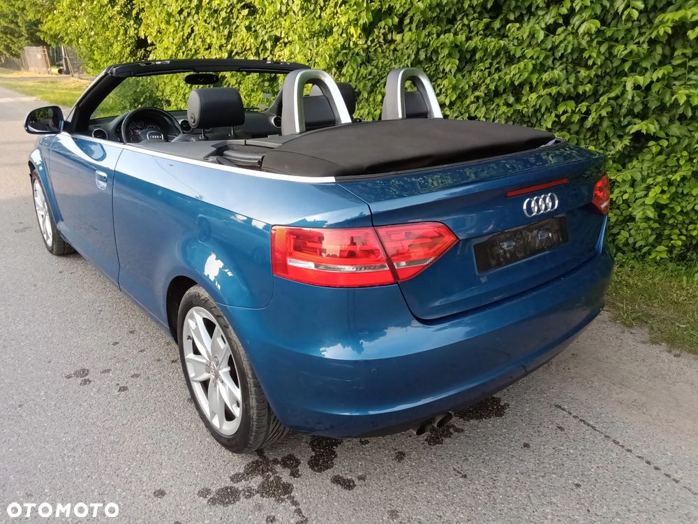 Audi A3 Cabrio 1.9 TDI DPF Ambition - 9