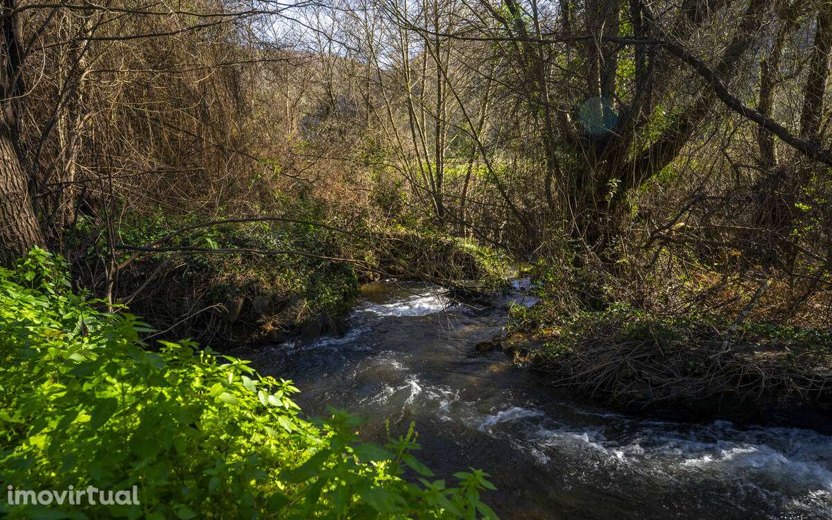 Quinta Rural em Odeceixe - Grande imagem: 4/7