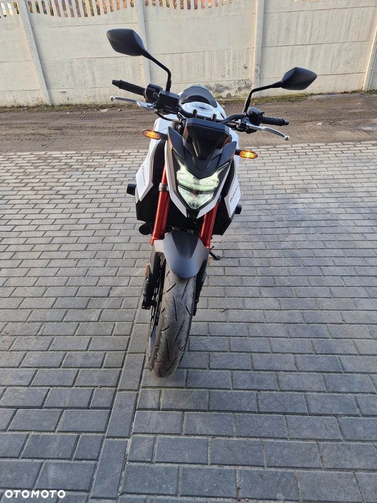 Honda Hornet - 5
