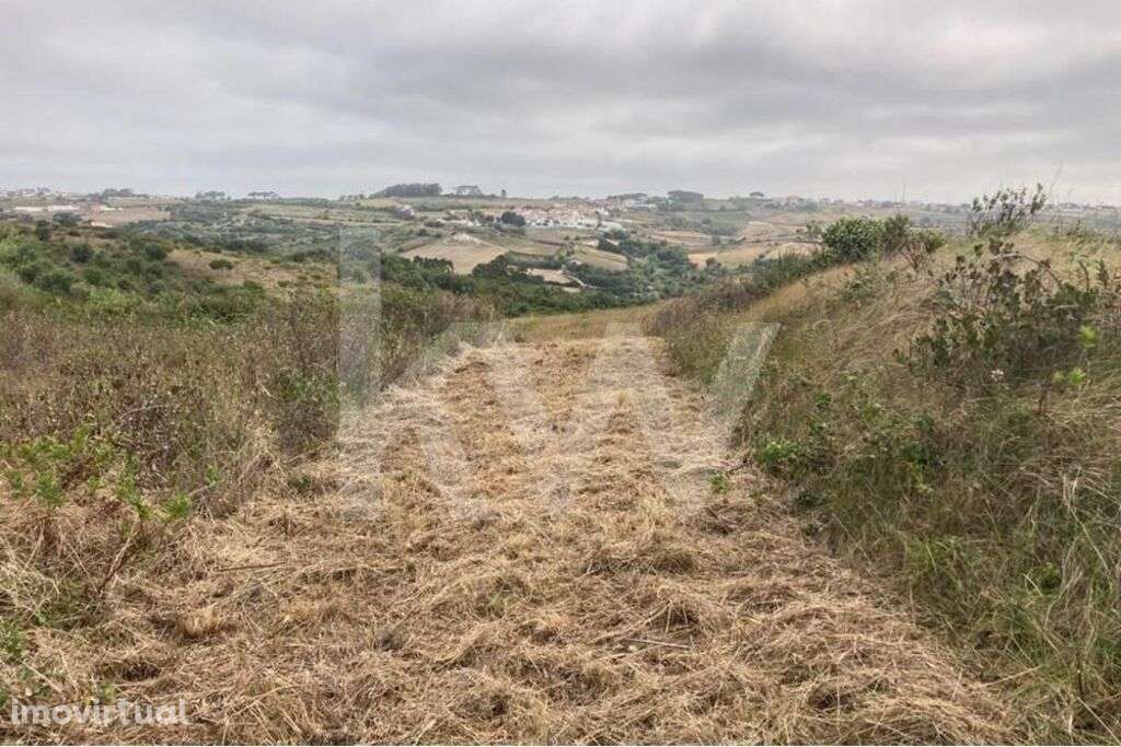 Terreno Agrícola - Assafora - Sintra - Grande imagem: 3/7